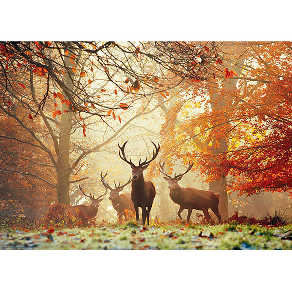 Guanacos 1000 pc