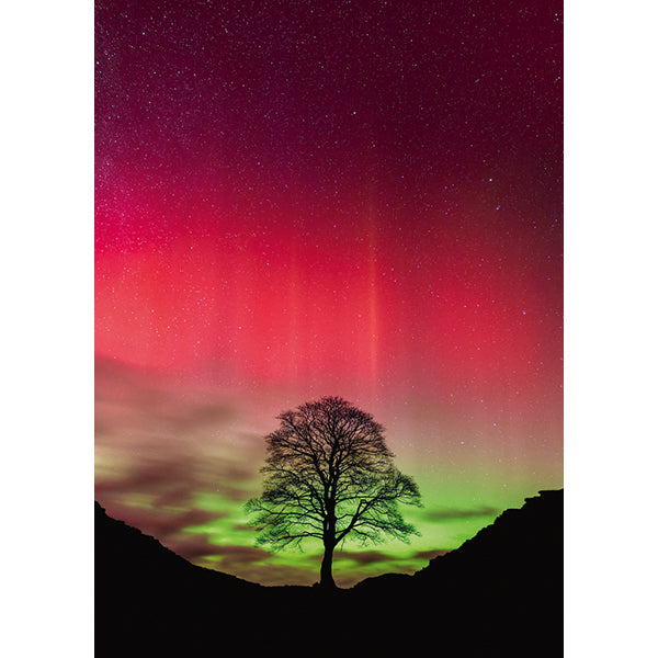 Power of Nature Sycamore Gap 1000 pc