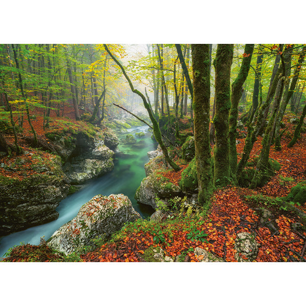 1000pc, Little Brook, Magic Forests