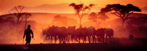 1000 pc Heye Kalahari Desert / Dessert de Kalahari Panoramic