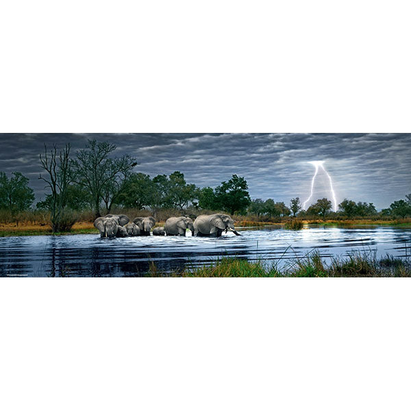 Herd of Elephants 2000 pc Panoramic