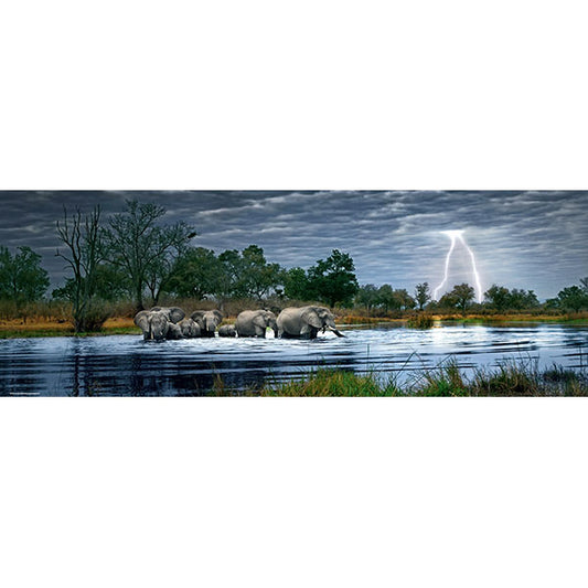 Herd of Elephants 2000 Panoramic