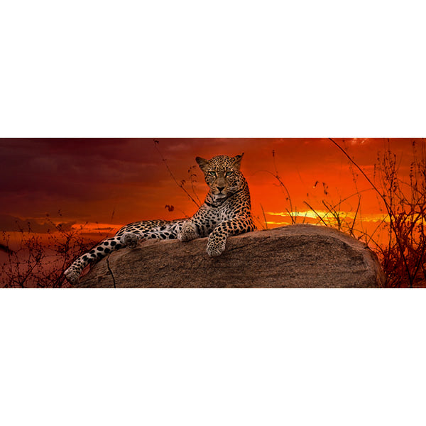 Red Dawn Wildlife 2000 pc Panoramic