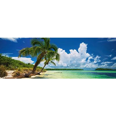 Paradise Palm 2000 pc Panoramic