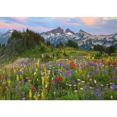 Tatoosh Mountains 2000