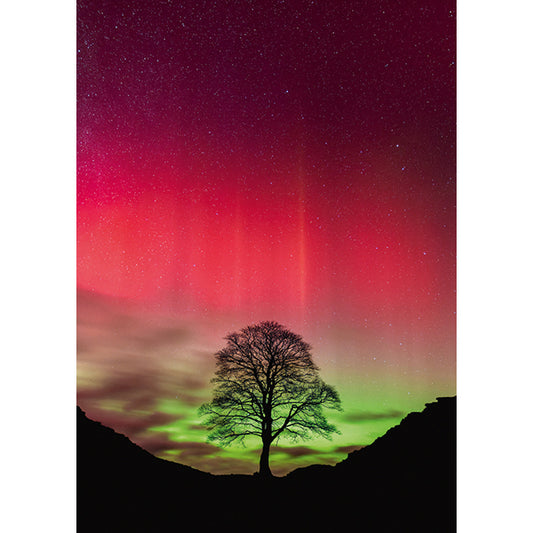 Power of Nature Sycamore Gap 1000